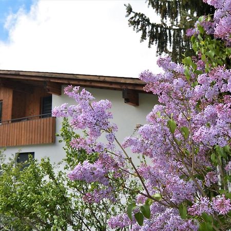 Apartament Tgesa Zundregn Savognin Zewnętrze zdjęcie